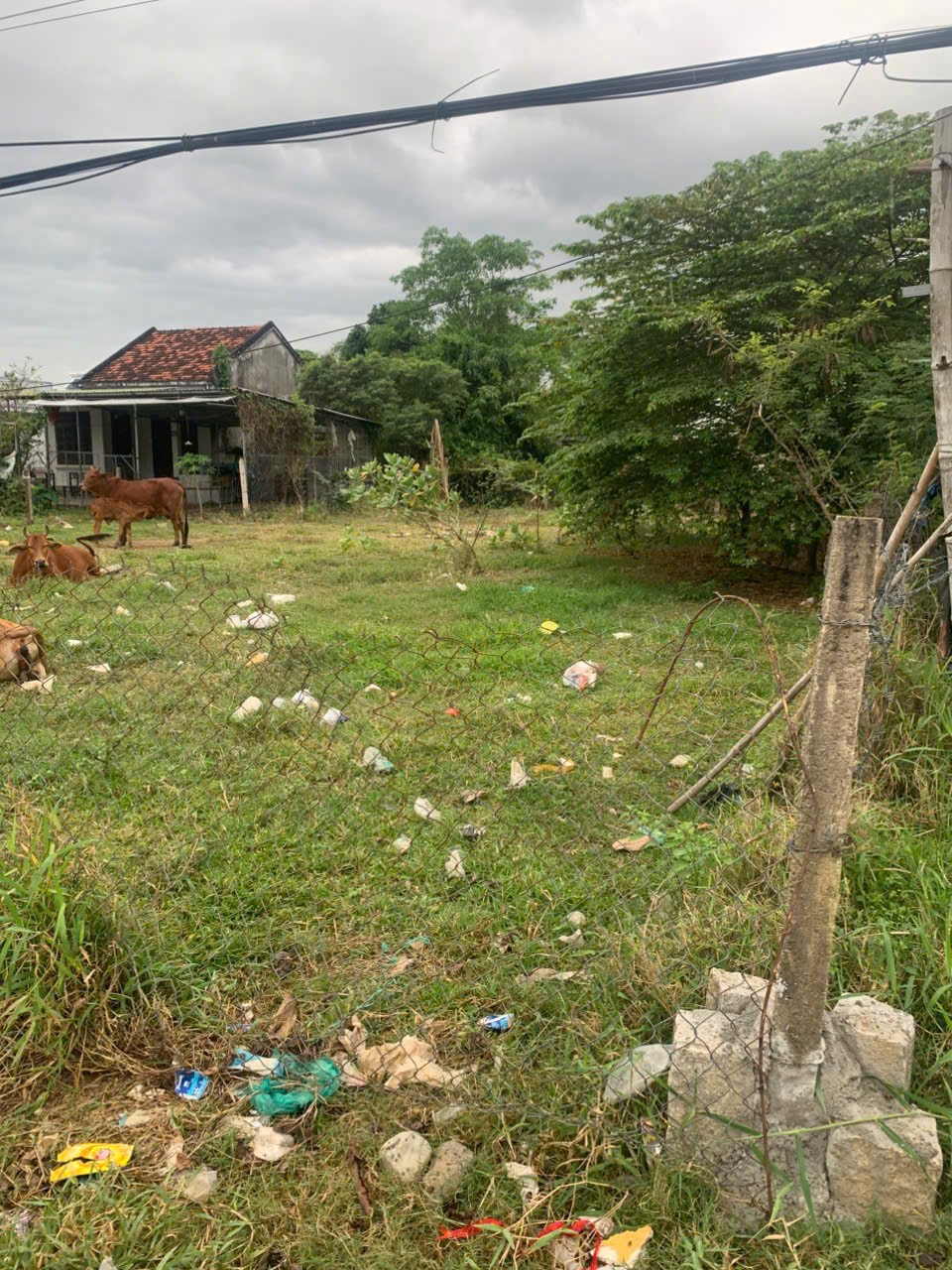 ĐẤT ĐẸP – GIÁ TỐT - CẦN RA NHANH LÔ ĐẤT tại thôn1, Diên Phú, Diên Khánh, Khánh Hòa. - Ảnh 1