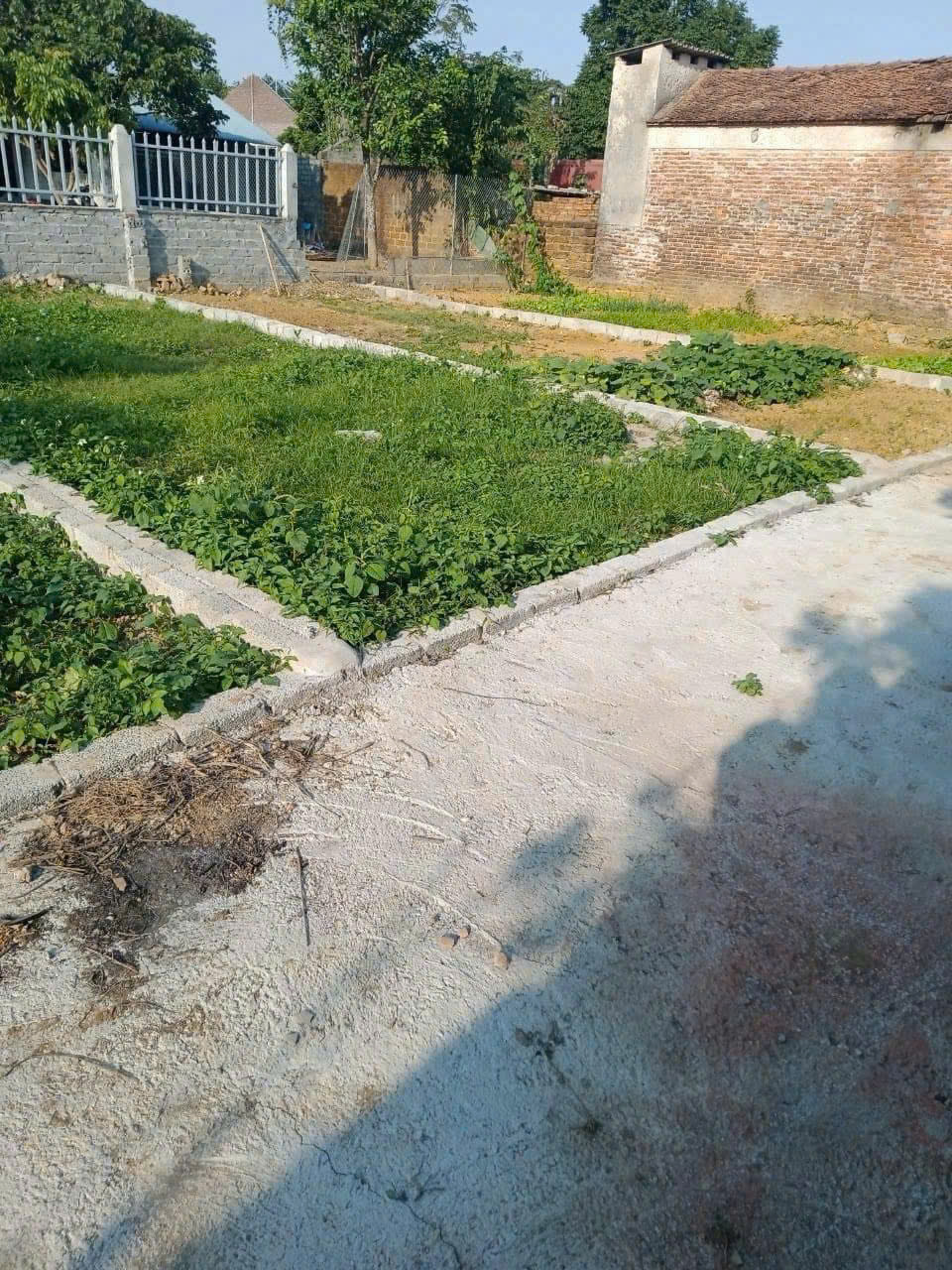 58,3m gần trường mầm non, cấp 1, cấp 2 mà chỉ nhỉnh 1,x tỉ<br>Mặt tiền rộng 4,65m - nở hậu, đất vuông - Ảnh 1