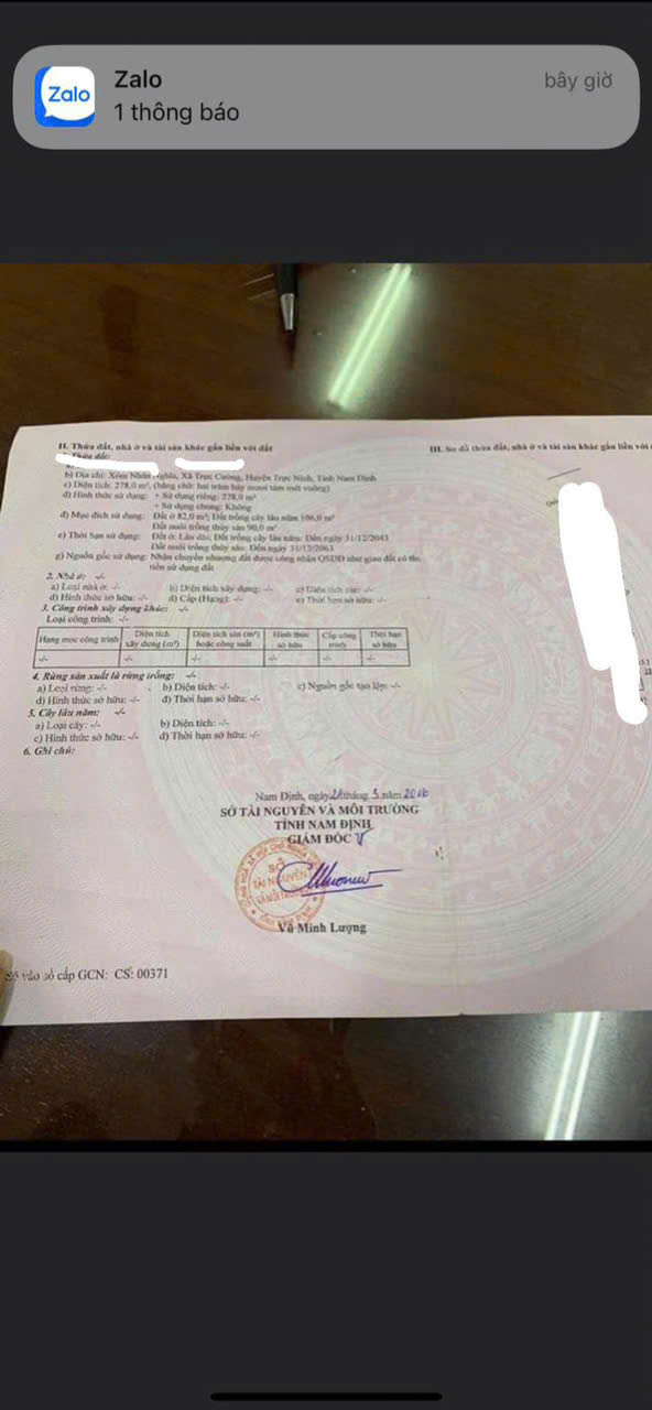 Chính chủ cần bán Nhanh Lô Đất Tại Quốc Lộ 37b – Xã Trực Cường – Huyện Trực Ninh – Nam Định - Ảnh 1