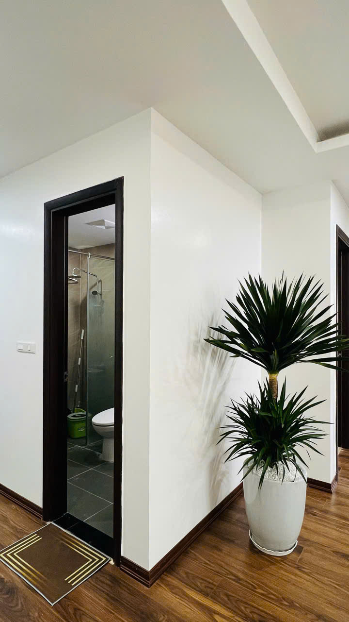 CC tòa Starup Tower Q Nam Từ Liêm>5 tỷ bán nhiệt tình!! - Ảnh 1
