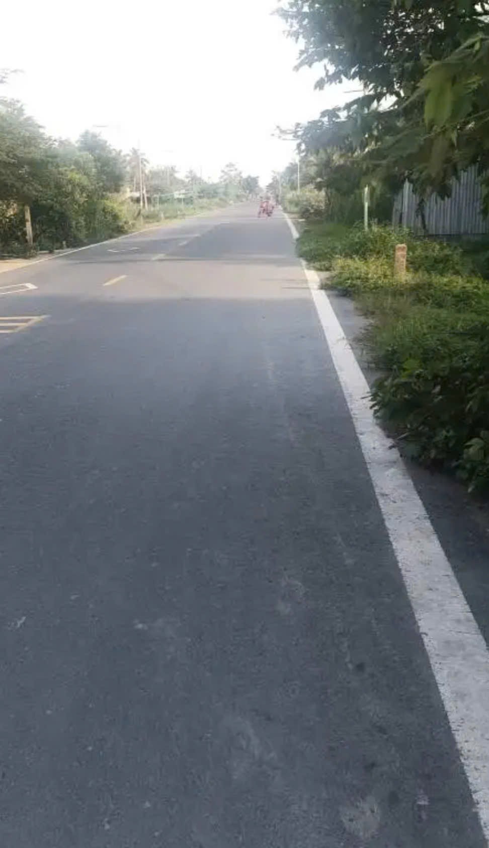 ĐẤT ĐẸP - ĐẦU TƯ SINH LỜI - Cần Bán Đất Tại Quốc lộ 60 cũ, Thành thới B, Mỏ cày Nam, Bến Tre - Ảnh chính