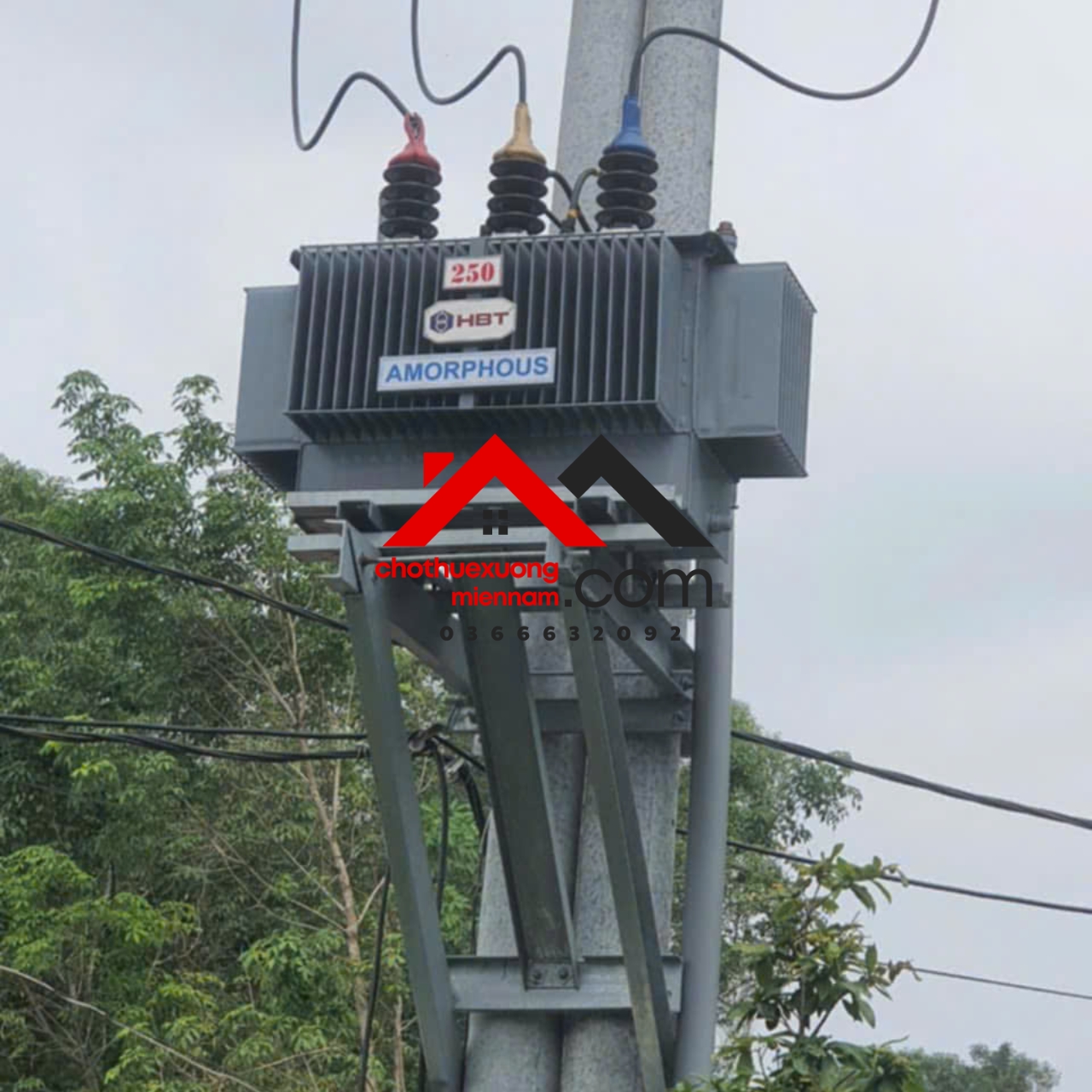 Bán Xưởng Phú Chánh, Tân Uyên Bình Dương – Diện Tích 1.000m², Giá Thuê 60 Triệu/tháng. Liên hệ: - Ảnh 2