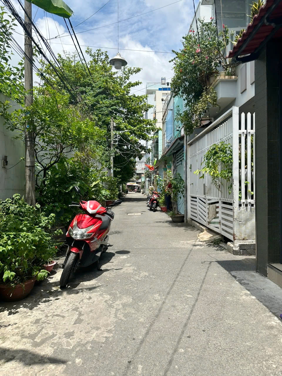 Nhà xe hơi trong nhà Hoàng Minh Đạo P5Q8 - Ảnh 4