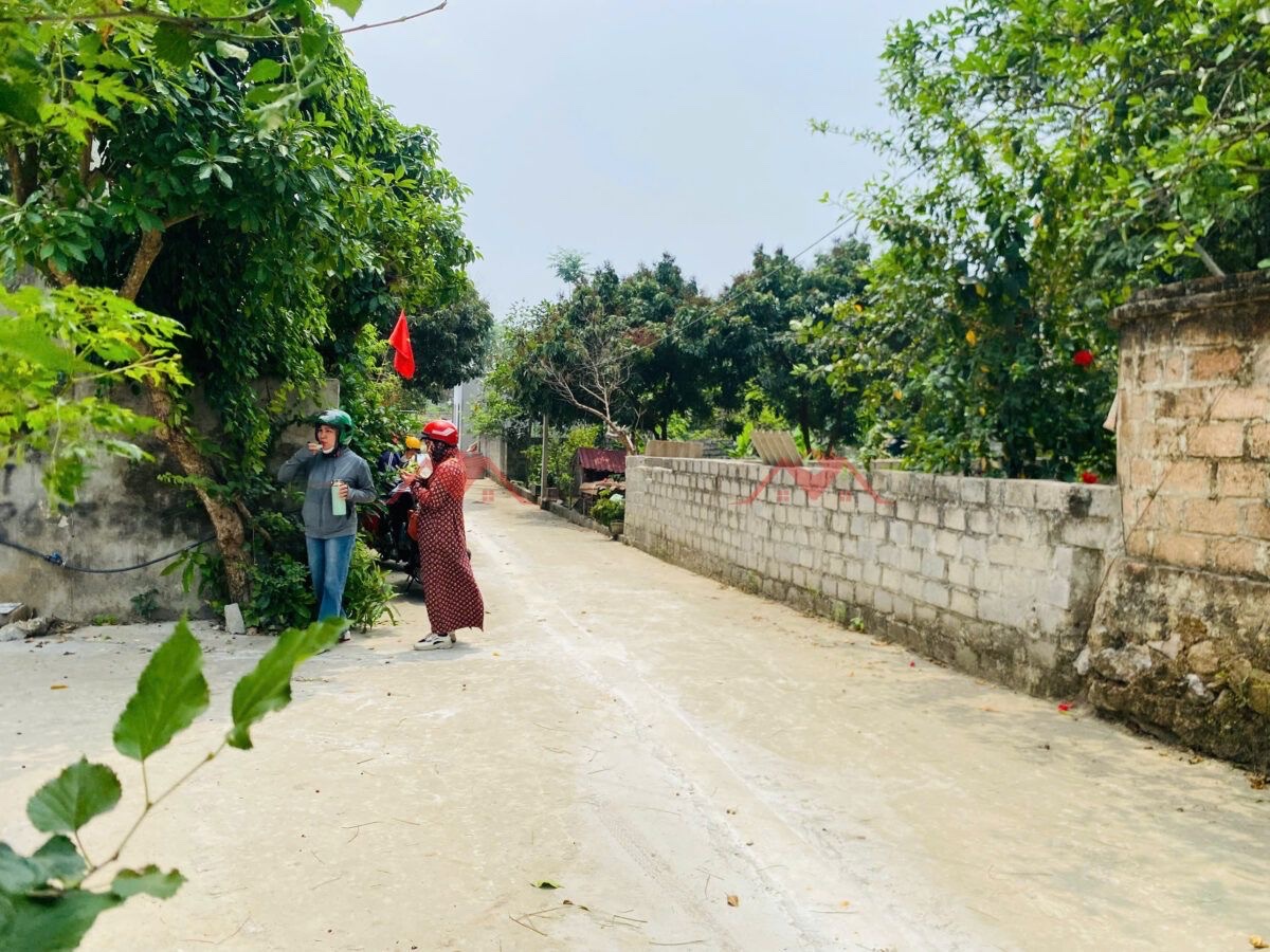 CHÍNH CHỦ BÁN LÔ ĐẤT 50M TẠI THỦY XUÂN TIÊN-CHƯƠNG MỸ-HÀ NỘI - Ảnh chính