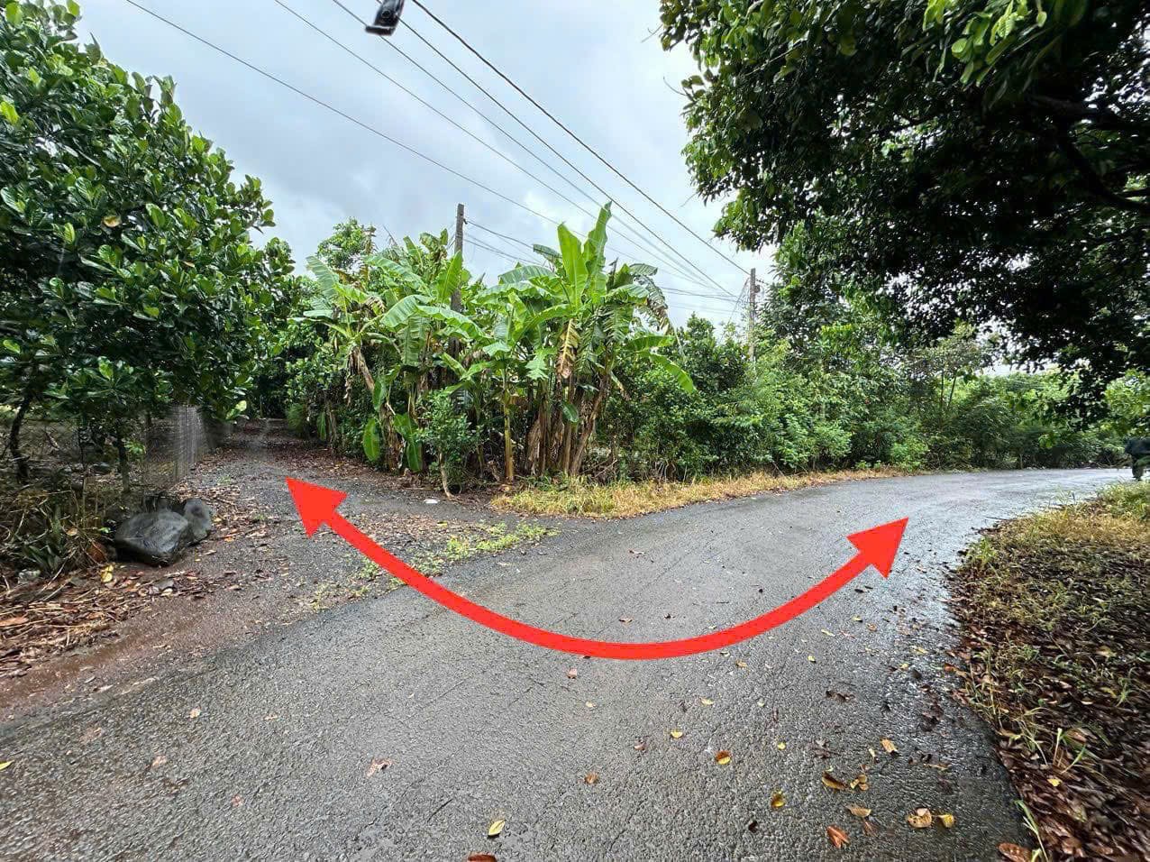 Chính Chủ Bán 5167m2 Đất Tại Xã Xuân Thiện, Huyện Thống Nhất, Đồng Nai ( dự kiến sắp lên thành - Ảnh 1
