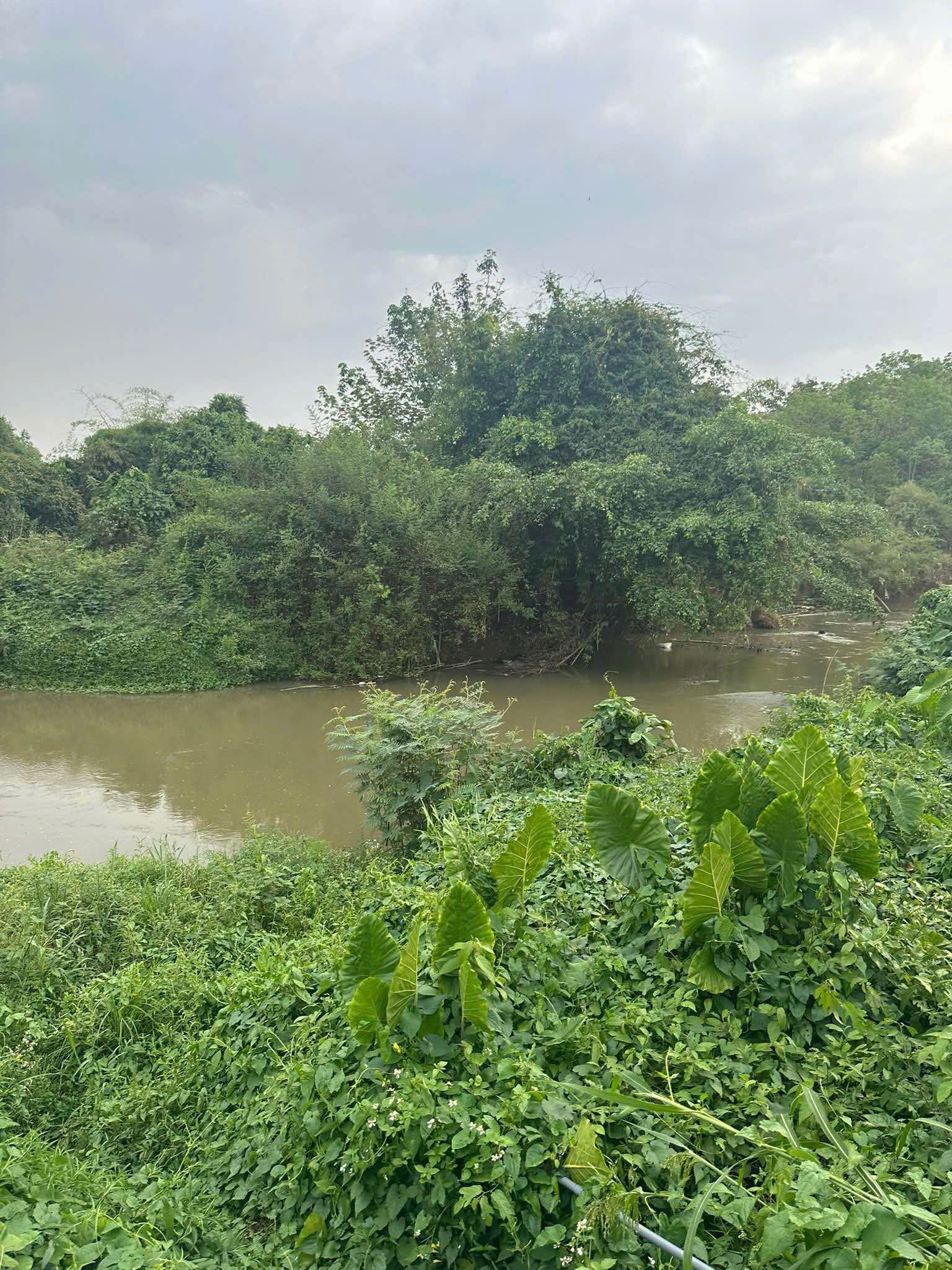 DUY NHẤT Lô Đất  Hơn 6000m2, View Sông Buông Tại Xã An Viễn, Huyện Trảng Bom, Đồng Nai. - Ảnh 1