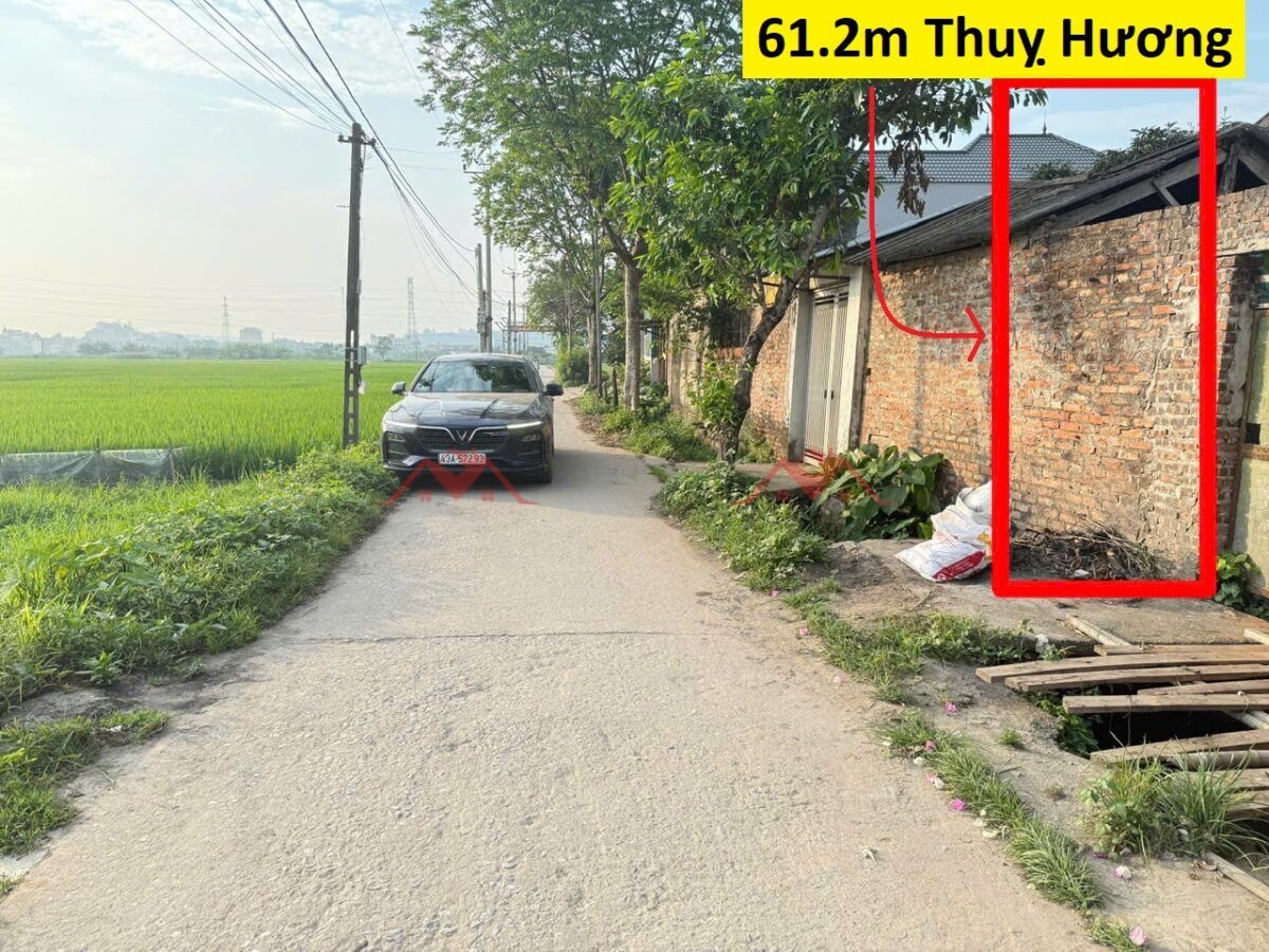 CHÍNH CHỦ BÁN LÔ ĐẤT 61,2M TẠI THỤY HƯƠNG-CHƯƠNG MỸ-HÀ NỘI - Ảnh chính