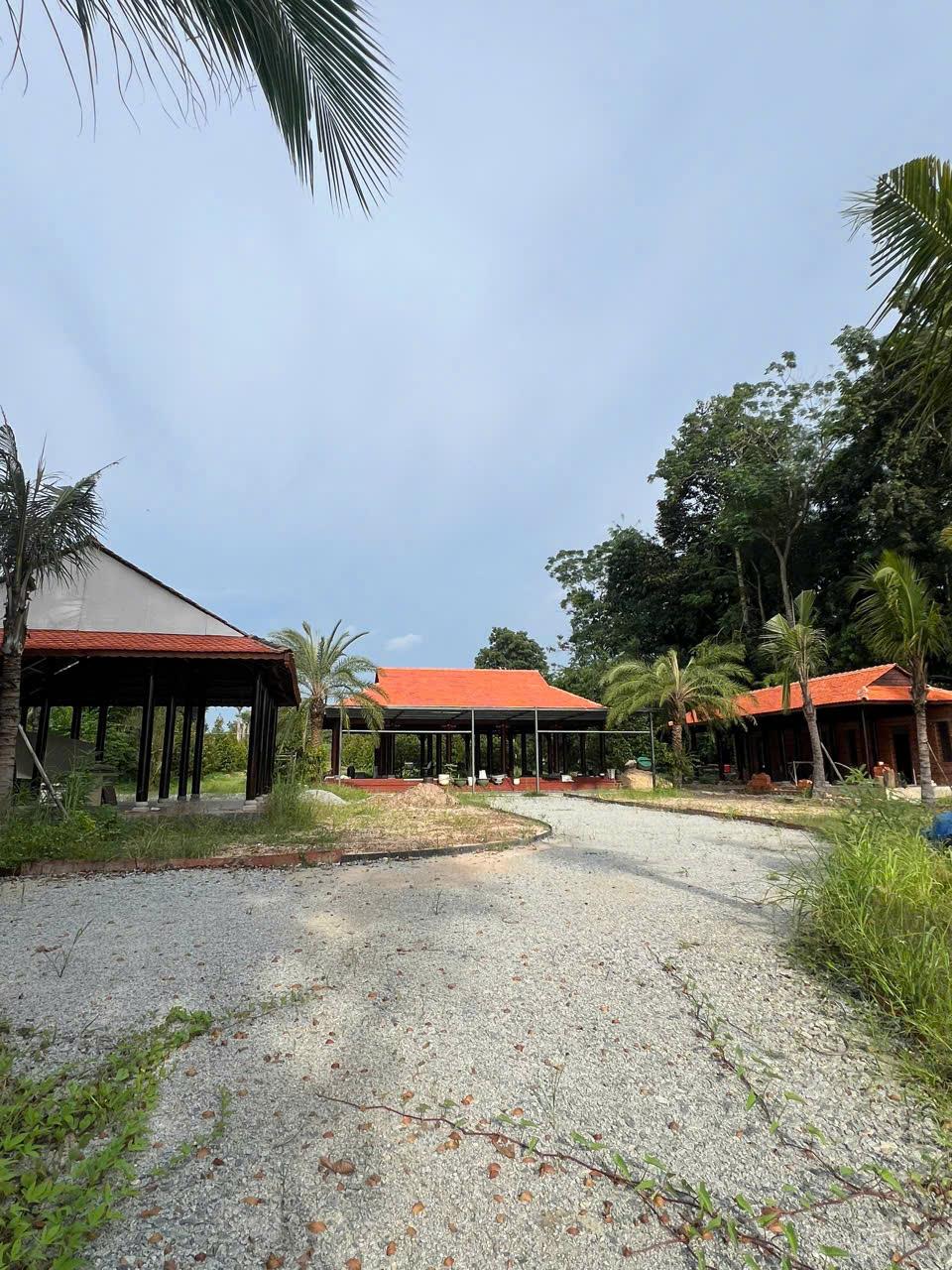 ĐẤT DẦU TIẾNG BÌNH DƯƠNG - 7000M2 - CÓ 3 CĂN NHÀ TRÊN ĐẤT - GIÁ 35 TỶ CÒN THƯƠNG LƯỢNG - Ảnh 2