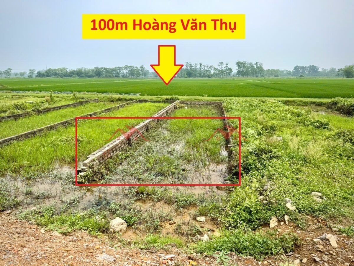 CHÍNH CHỦ BÁN LÔ ĐẤT 100M TẠI HOÀNG VĂN THỤ-CHƯƠNG MỸ-HÀ NỘI - Ảnh chính