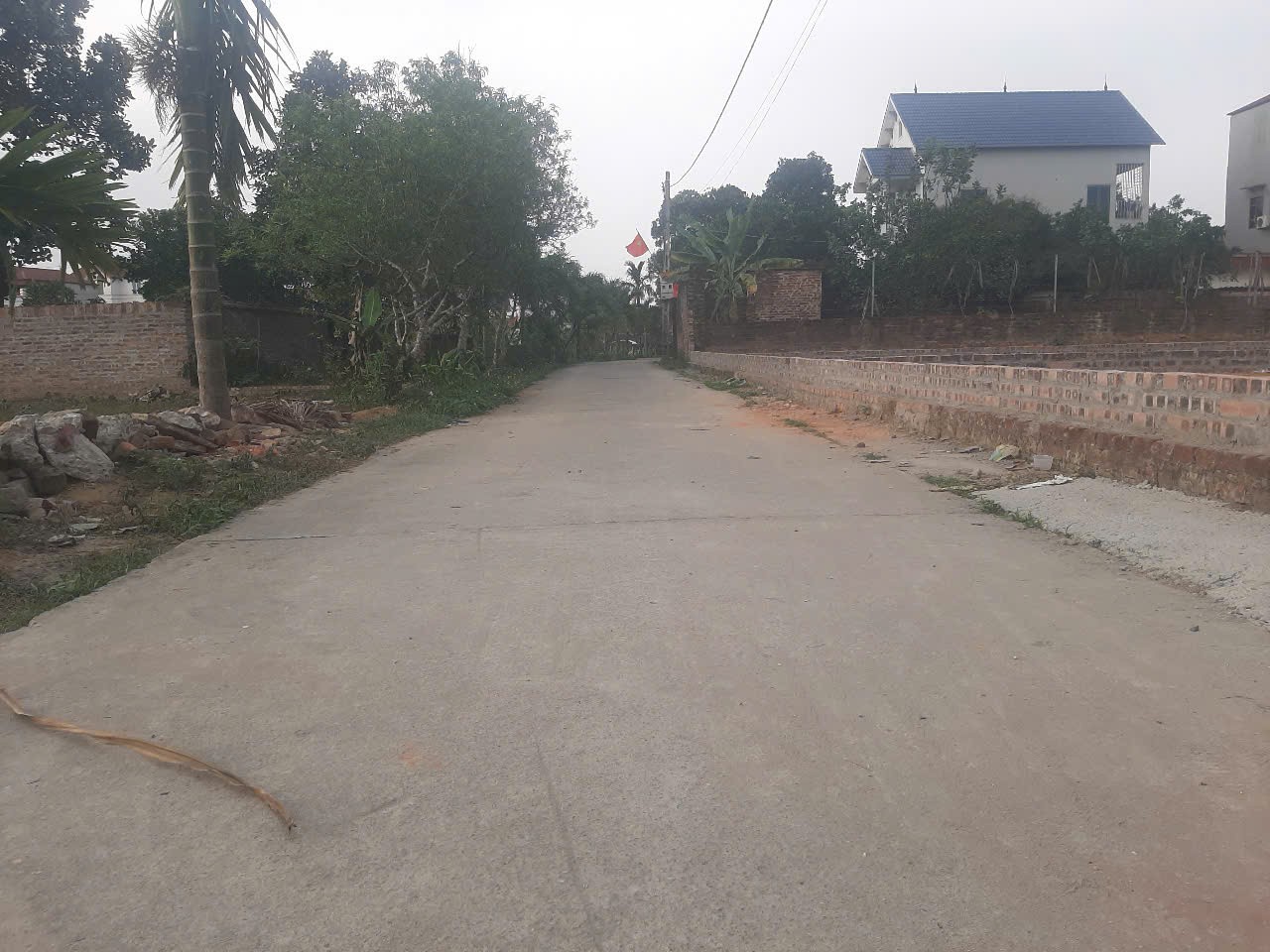 ĐẤT ĐẸP - GIÁ ĐẦU TƯ - Chủ Nhờ Bán Nhanh Đất Tại Đan Tảo, Tân Minh, Sóc Sơn, TP Hà Nội - Ảnh 3
