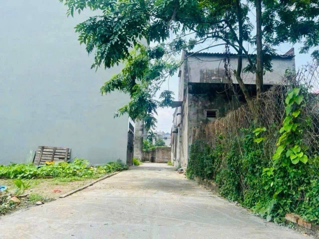Bán đất Xuân Nộn, Đông Anh, 66m2, mt4m, 4.66 tỷ, ô tô, gần trường. - Ảnh 2