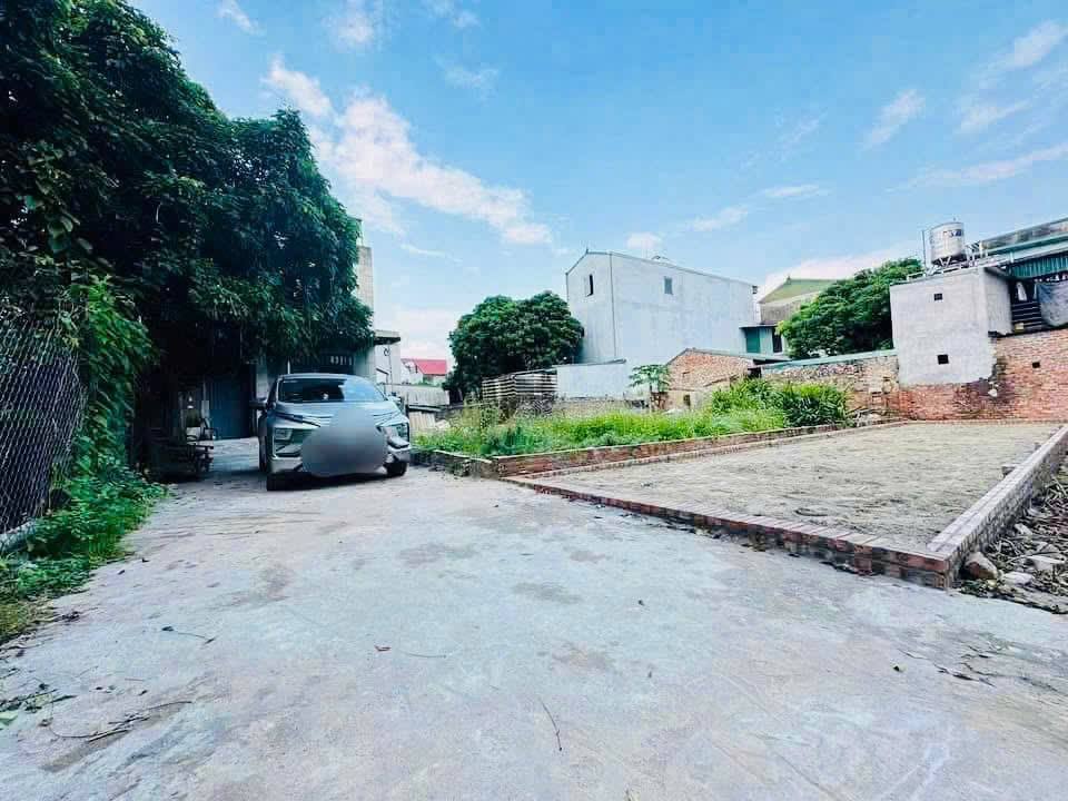 Bán đất Xuân Nộn, Đông Anh, 66m2, mt4m, 4.66 tỷ, ô tô, gần trường. - Ảnh 3