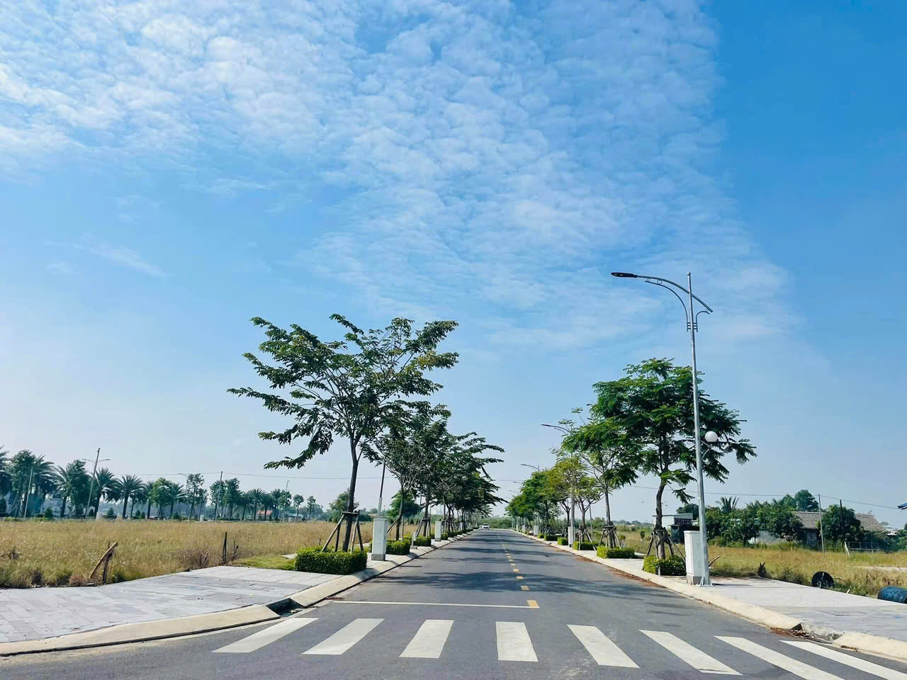 Bán đất nền mặt tiền 100m2 đường Nguyễn Hữu Trí - Ảnh 5