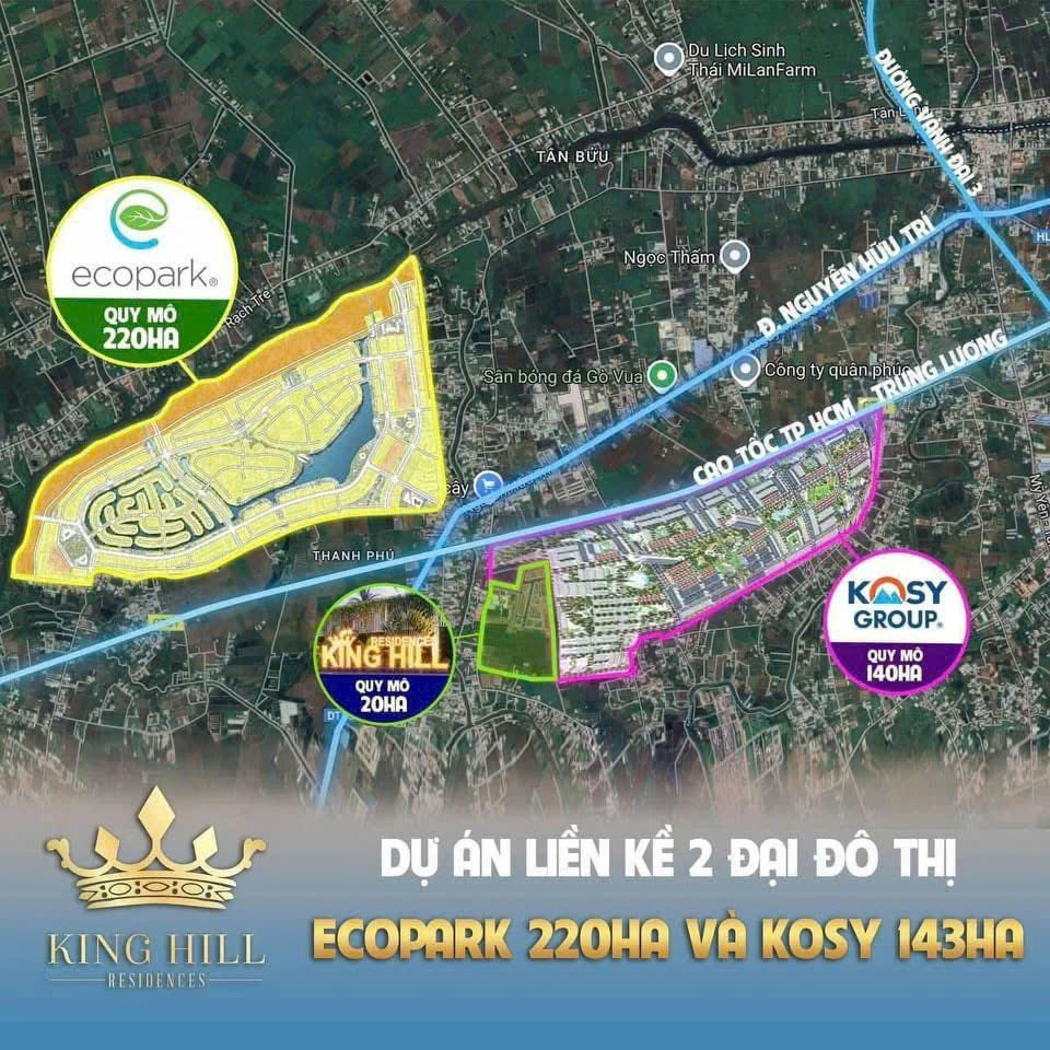 Bán đất nền mặt tiền 100m2 đường Nguyễn Hữu Trí - Ảnh 2
