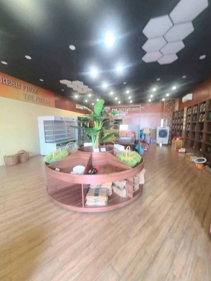 Cho Thuê Mặt Bằng Hiệp Thành, Thủ Dầu Một, Bình Dương – Diện Tích 260m², Giá Thuê 22 Triệu/tháng - Ảnh 4
