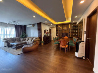 GIỎ HÀNG CHO THUÊ CĂN HỘ SUNRISE CITY - CẬP NHẬT HÀNG NGÀY - Ảnh chính