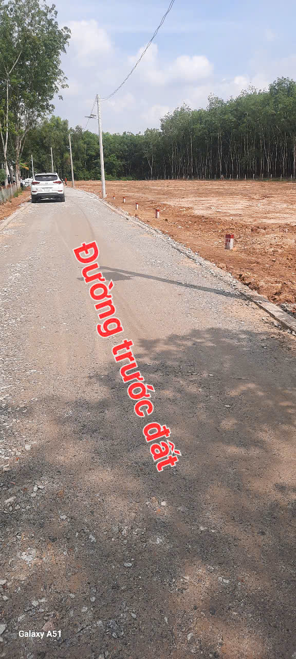 BÁN ĐẤT DẦU TIẾNG 220M2. CÓ 100TC - Ảnh 3