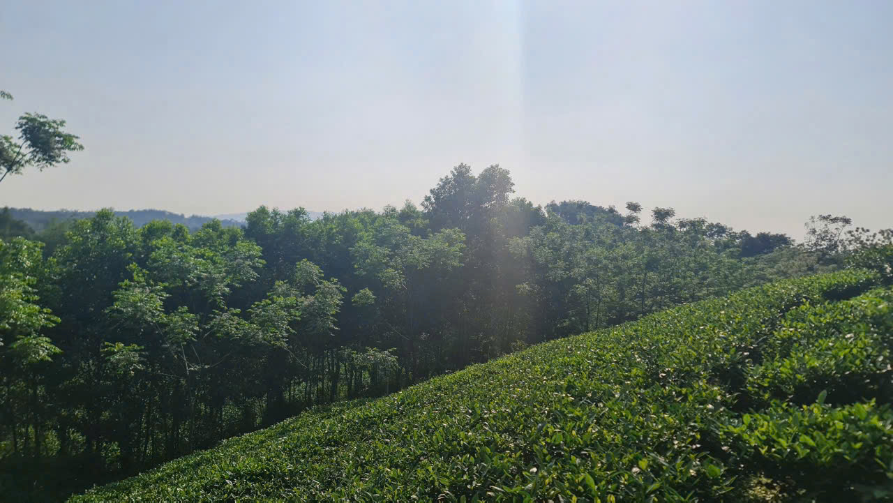Bán mảnh đất view hồ 1440M_150M thổ cư đường ô tô tránh_Ba Trại Ba Vì Hà Nội_2,7tr/m2 - Ảnh chính