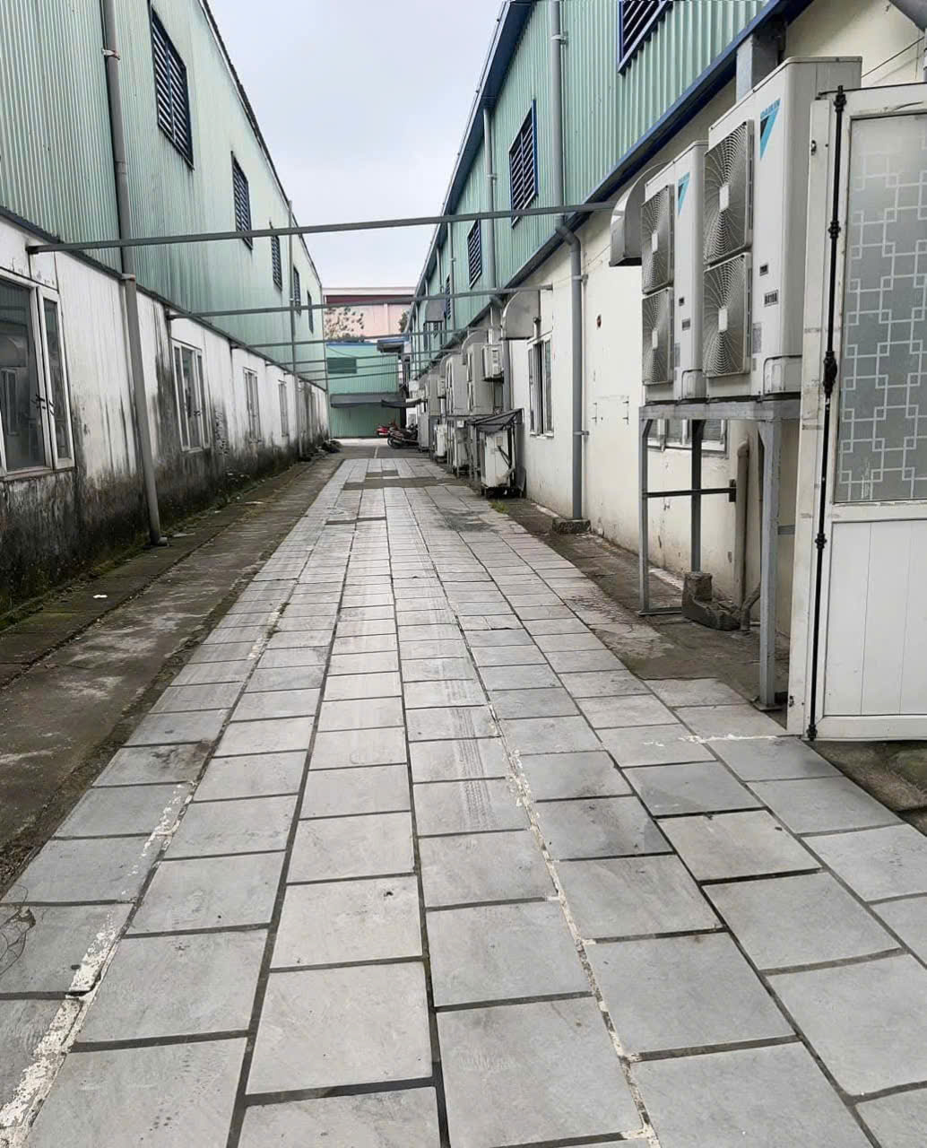 Bán 2500m2 kho xưởng KCN Quất Động, Thường Tín, Giá 29 tỷ - Ảnh 2