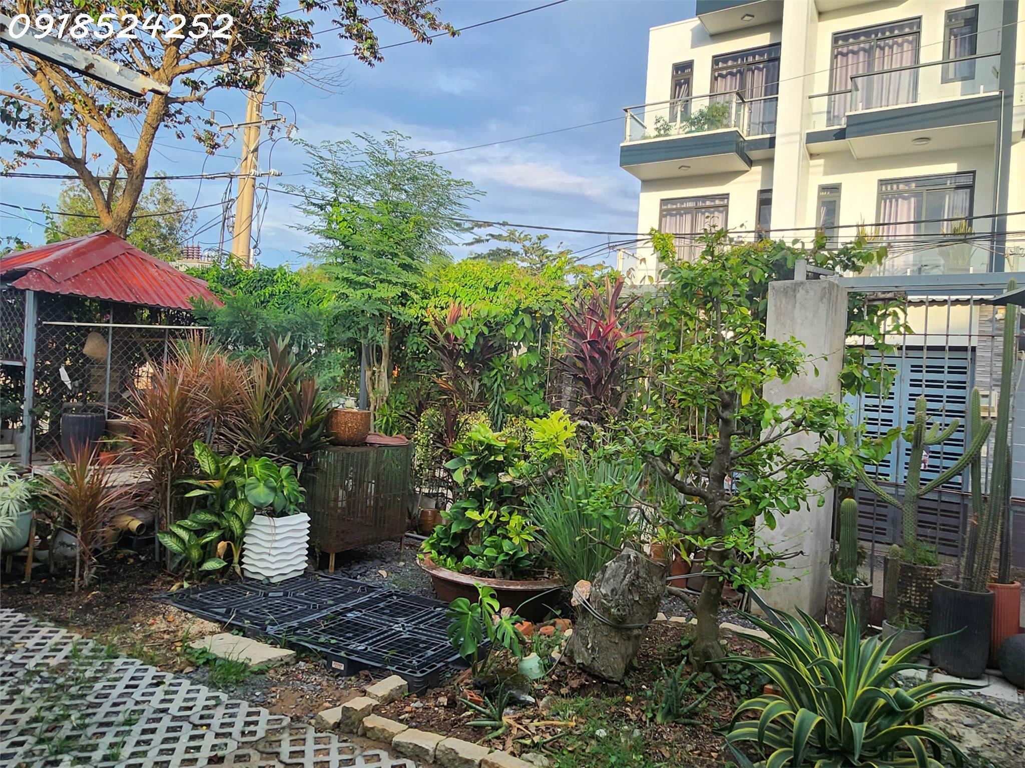 Bán căn nhà vườn cấp cho 4 tại Q.2, bình trưng đông, 240m2 - Ảnh 2