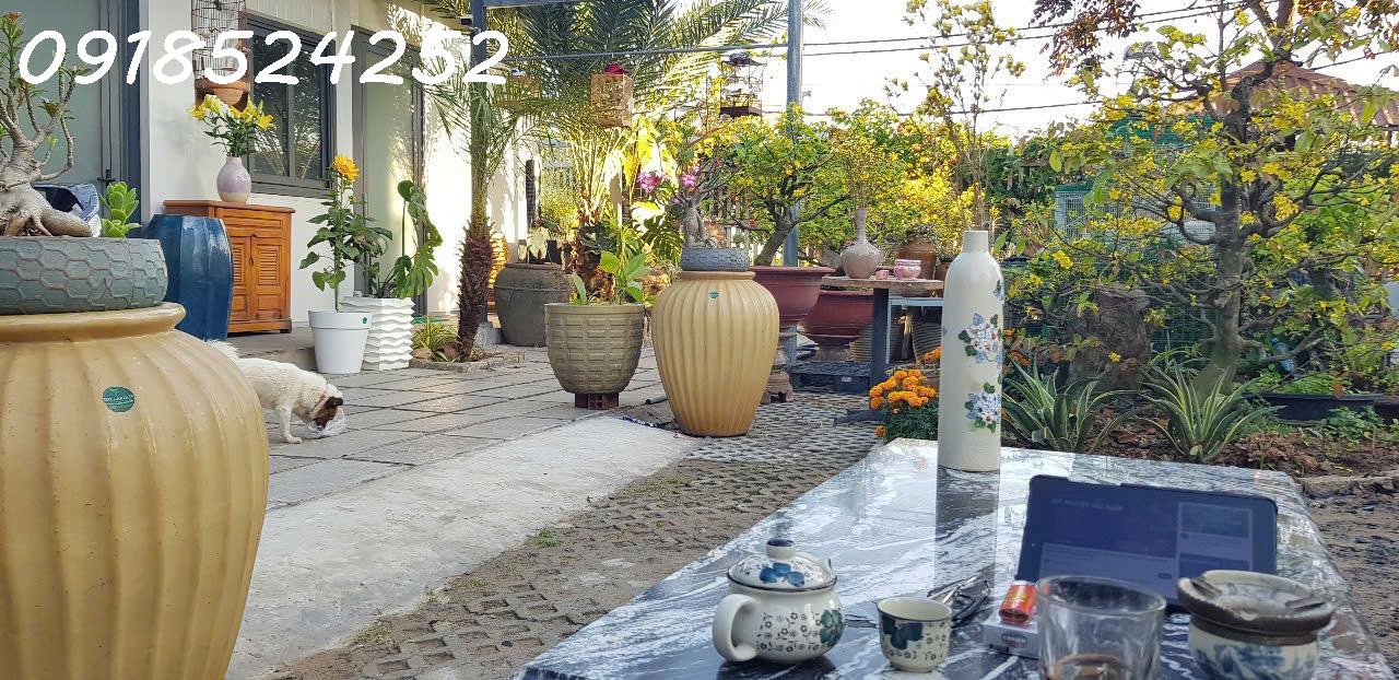 Bán căn nhà vườn cấp cho 4 tại Q.2, bình trưng đông, 240m2 - Ảnh 4
