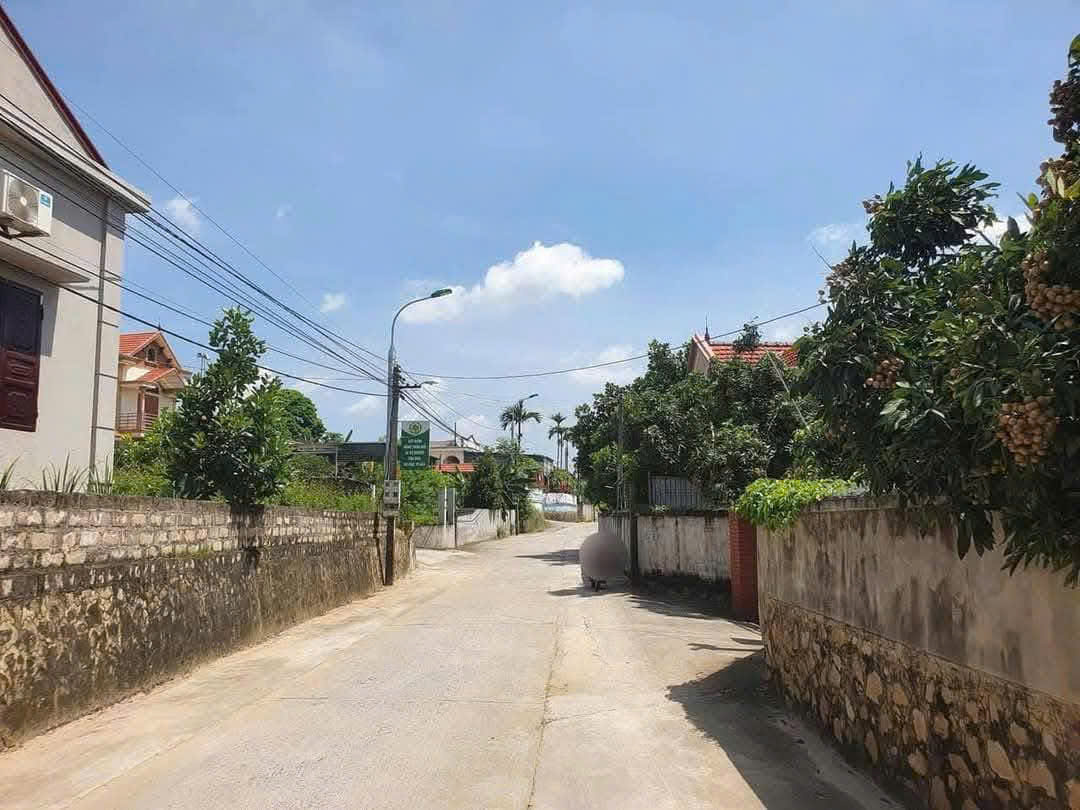Cần Bán Nhanh lô  đất Việt Dân , TP Đông triều ,Tỉnh Quảng Ninh. - Ảnh chính