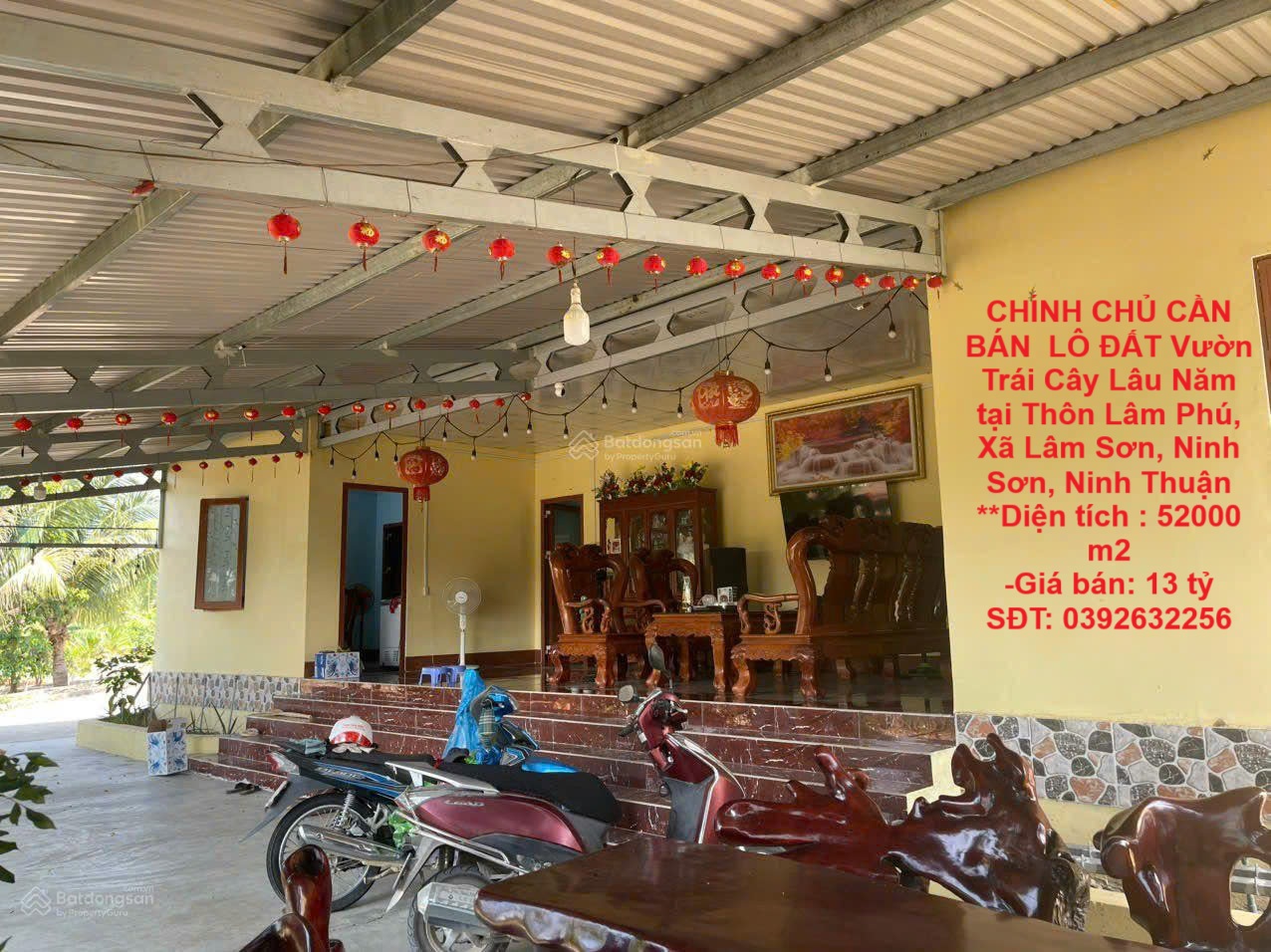 CHÍNH CHỦ CẦN BÁN  LÔ ĐẤT Vườn Trái Cây Lâu Năm  tại Thôn Lâm Phú, Xã Lâm Sơn, Ninh Sơn, Ninh Thuận - Ảnh chính