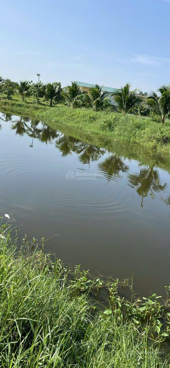 CHÍNH CHỦ CẦN BÁN  LÔ ĐẤT Vườn Trái Cây Lâu Năm  tại Thôn Lâm Phú, Xã Lâm Sơn, Ninh Sơn, Ninh Thuận - Ảnh 1