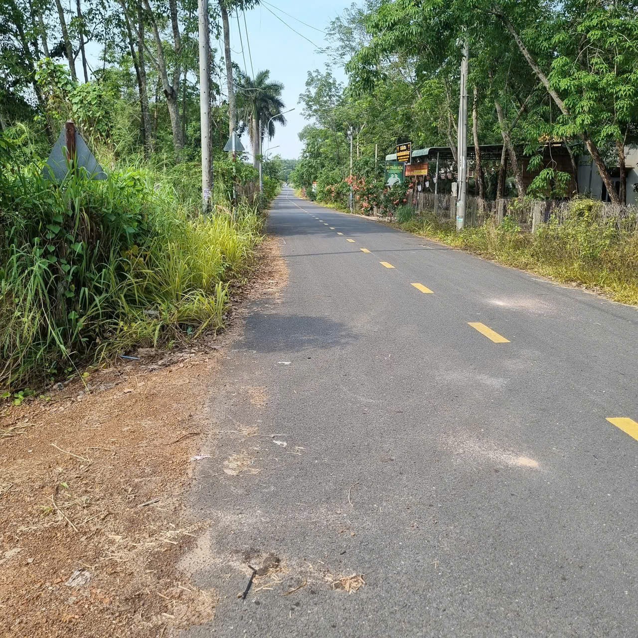 ĐẤT ĐẸP - GIÁ TỐT - Cần Bán Nhanh Lô Đất Vị Trí Đắc Địa Mặt tiền QL13 Bàu Bàng, Bình Dương - Ảnh 1