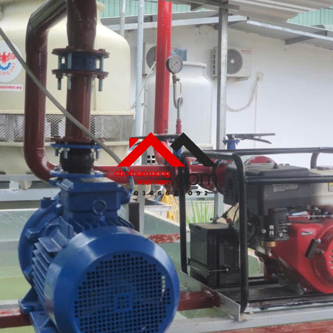 Bán Xưởng Phú Chánh, Tân Uyên Bình Dương – Diện Tích 1.000m², Giá Thuê 60 Triệu/tháng. Liên hệ: - Ảnh 1