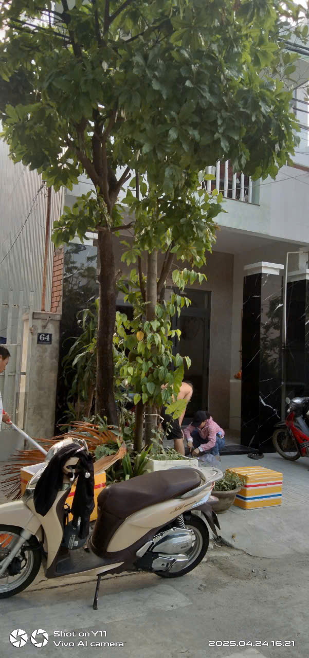 CC Cần Bán LÔ ĐẤT Tặng Kèm Căn Nhà Cấp 4 tại đường Nguyễn Minh Không, Hòa Minh, Liên Chiểu, Đà Nẵng - Ảnh 1