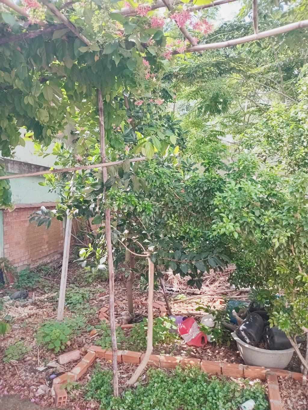 BÁN ĐẤT THỔ CƯ RẺ - P. TÂN THỚI NHẤT, Q12 - 75 M2 - GẦN  QL1A - HẺM ÔTÔ - CHỈ 3.2 TỶ - CHỈ 42TR/M2 - Ảnh chính