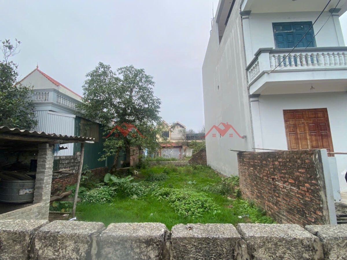 CHÍNH CHỦ BÁN LÔ ĐẤT 133,2M TẠI NGỌC HÒA-CHƯƠNG MỸ-HÀ NỘI - Ảnh 1