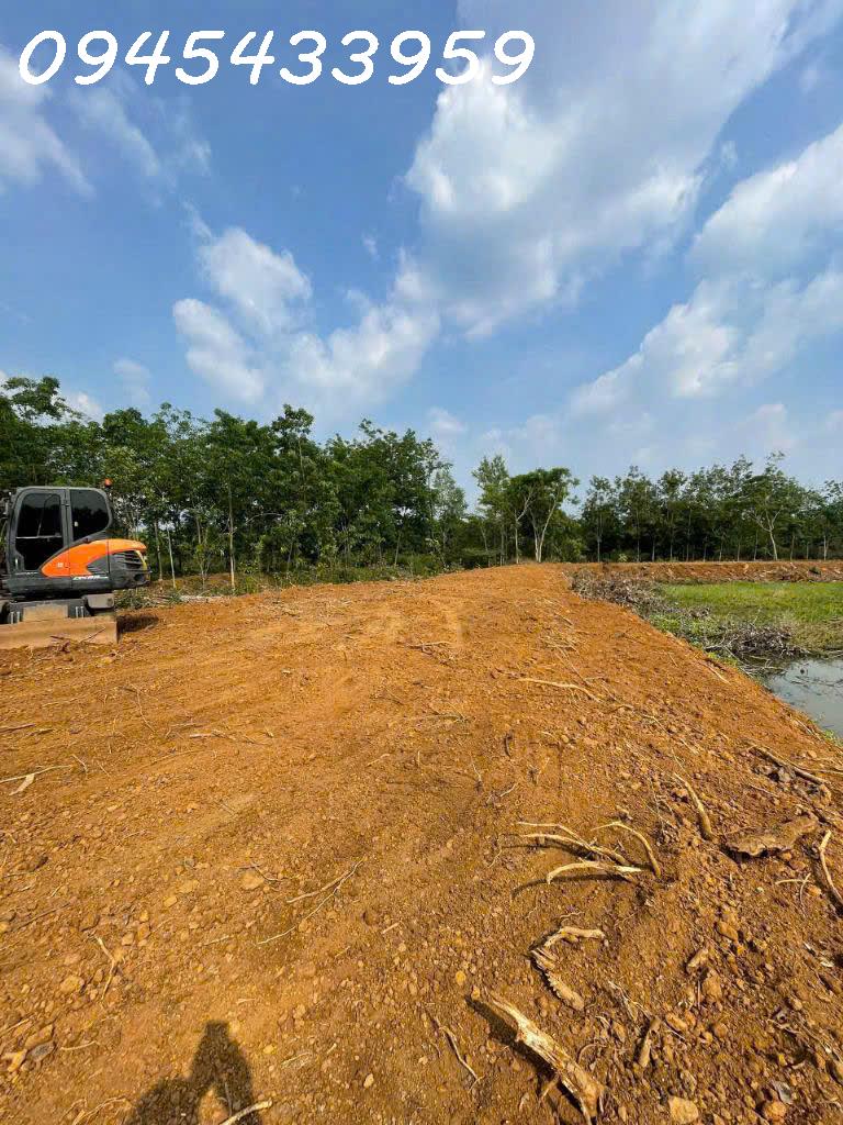 Bán đất đang làm nông trại và khu nghỉ dưỡng mặt tiền lớn có suối, 1 mẫu 4 thực tế 1 mẫu 6 - Ảnh 4