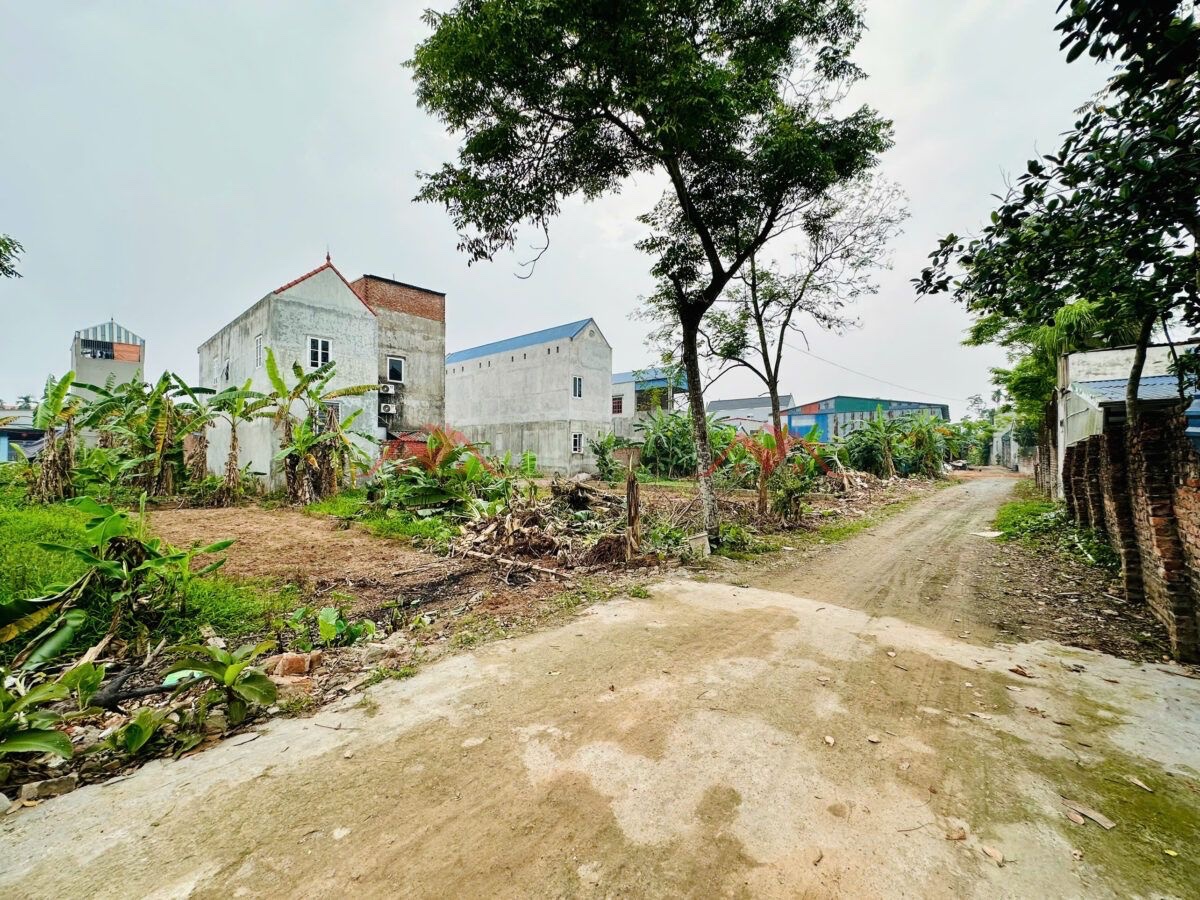 CHÍNH CHỦ BÁN LÔ ĐẤT 76,5M TẠI THỤY HƯƠNG-CHƯƠNG MỸ-HÀ NỘI - Ảnh 2