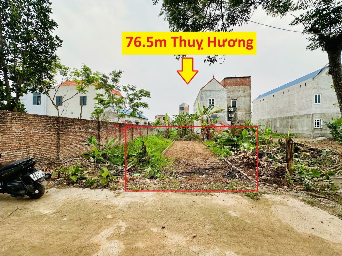 CHÍNH CHỦ BÁN LÔ ĐẤT 76,5M TẠI THỤY HƯƠNG-CHƯƠNG MỸ-HÀ NỘI - Ảnh chính