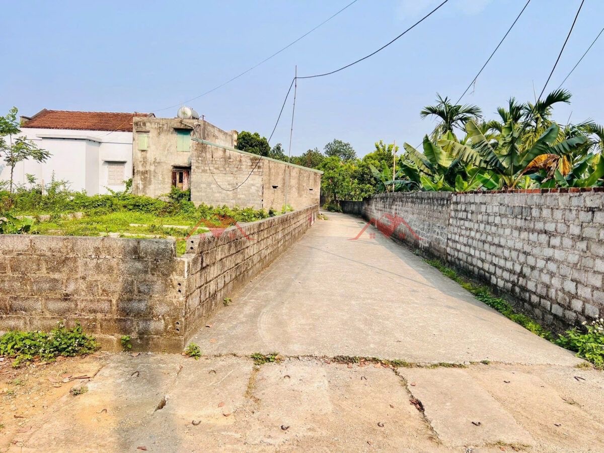 CHÍNH CHỦ BÁN LÔ ĐẤT 44,2M TẠI NAM PHƯƠNG TIẾN-CHƯƠNG MỸ-HÀ NỘI - Ảnh 4