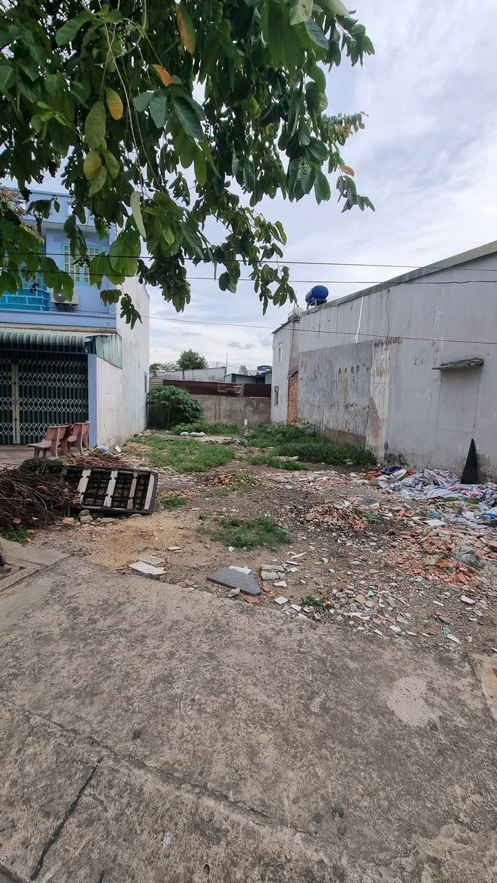 Lô Đất Đẹp (8x22) Mặt Tiền Đường 12m Ấp Đông 3, xã Thới Tam Thôn, Hóc Môn - Ảnh 3