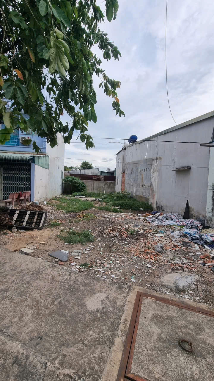 Lô Đất Đẹp (8x22) Mặt Tiền Đường 12m Ấp Đông 3, xã Thới Tam Thôn, Hóc Môn - Ảnh 4