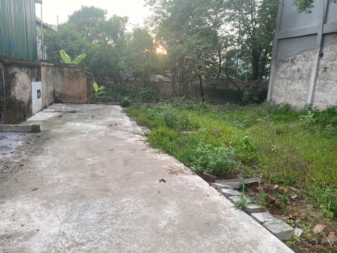 Đất đẹp- giá tốt Chính Chủ cần Bán nhanh lô đất đẹp tại huyện Thường Tín, TP Hà Nội - Ảnh 1