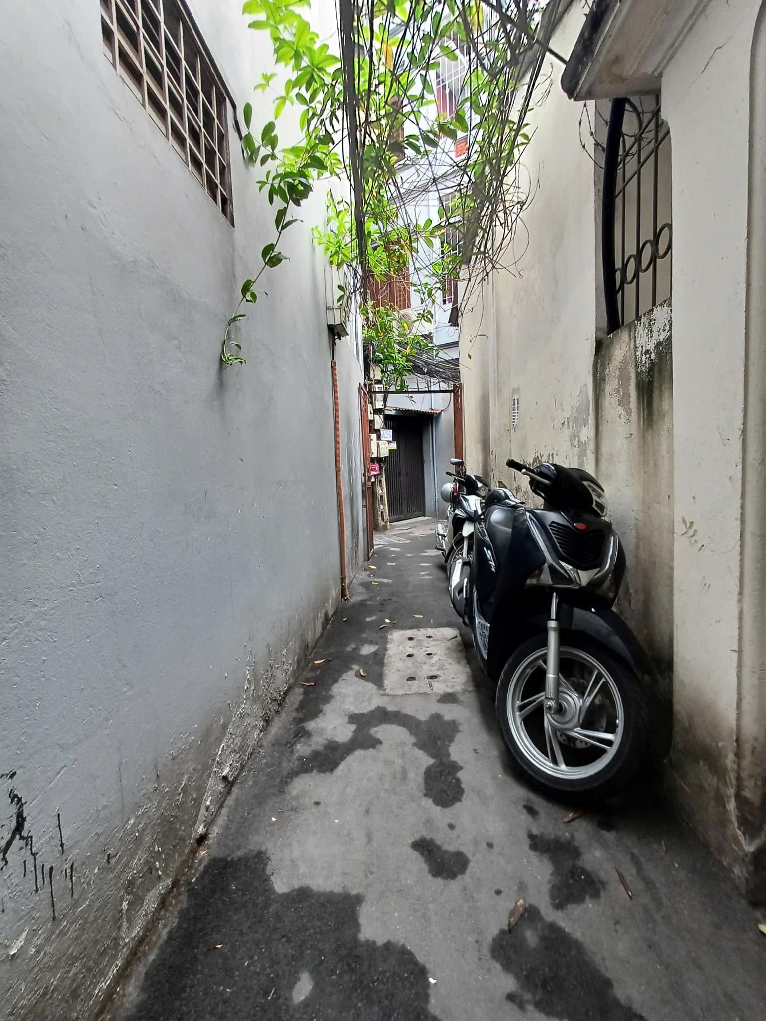 Văn Hương - Đống Đa - Hà Nội - Ảnh 4