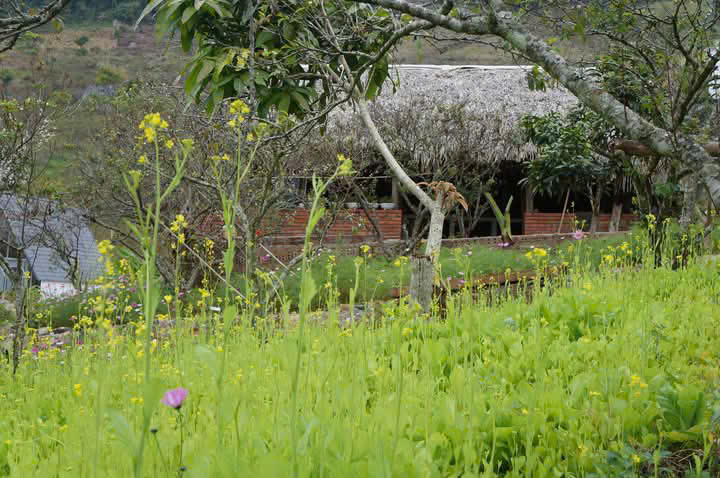 Bán Đất View Đẹp Tại Khu Du Lịch Cộng Đồng Tổ Vặt Hồng, P. Mường Sang, TX Mộc Châu - Ảnh chính