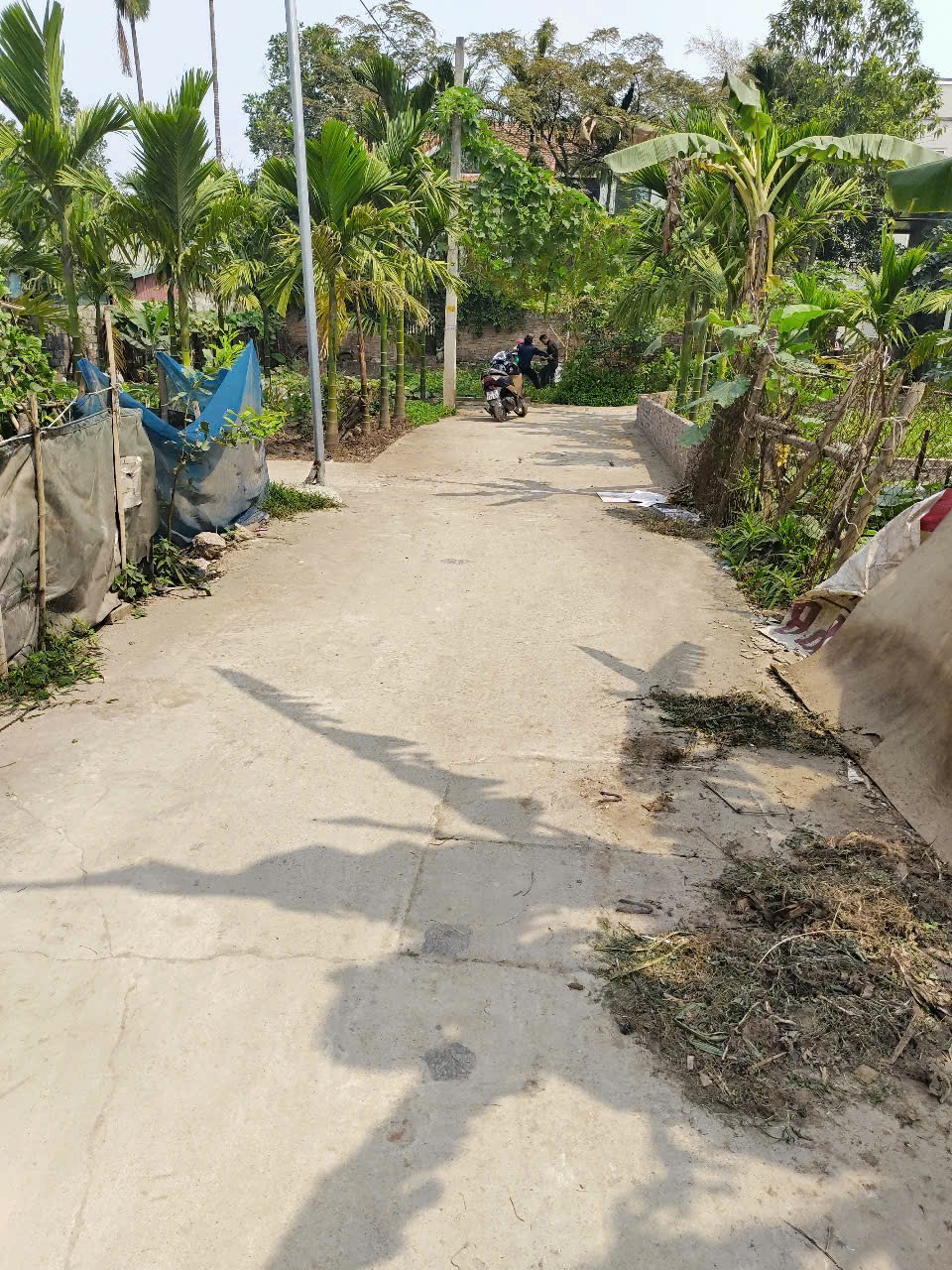 BÁN ĐẤT VẠN PHÚC, THANH TRÌ 59M2 ĐƯỜNG OTO, CÓ CHỖ DỖ OTO, GIÁ HƠN 3 TỶ - Ảnh 1