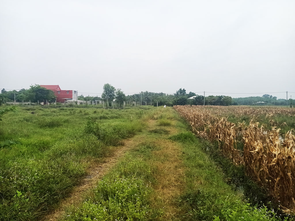 Bán đất 2/ đường Tỉnh Lộ 2 - 535m2 - 10x54 - 100m2 thổ cư - xã Trung Lập Thượng - Củ Chi - Ảnh 1
