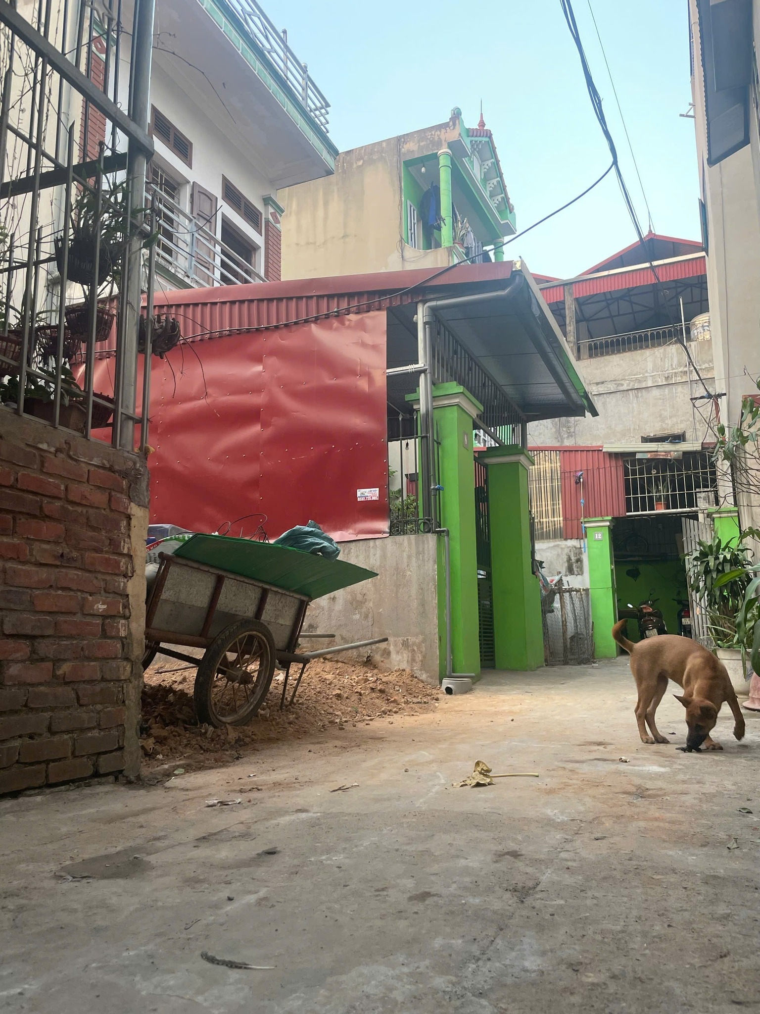 Bán đất Kim Chung 50m2, 3.5m, 3.3 tỷ, Đông Anh, ô tô. - Ảnh 2