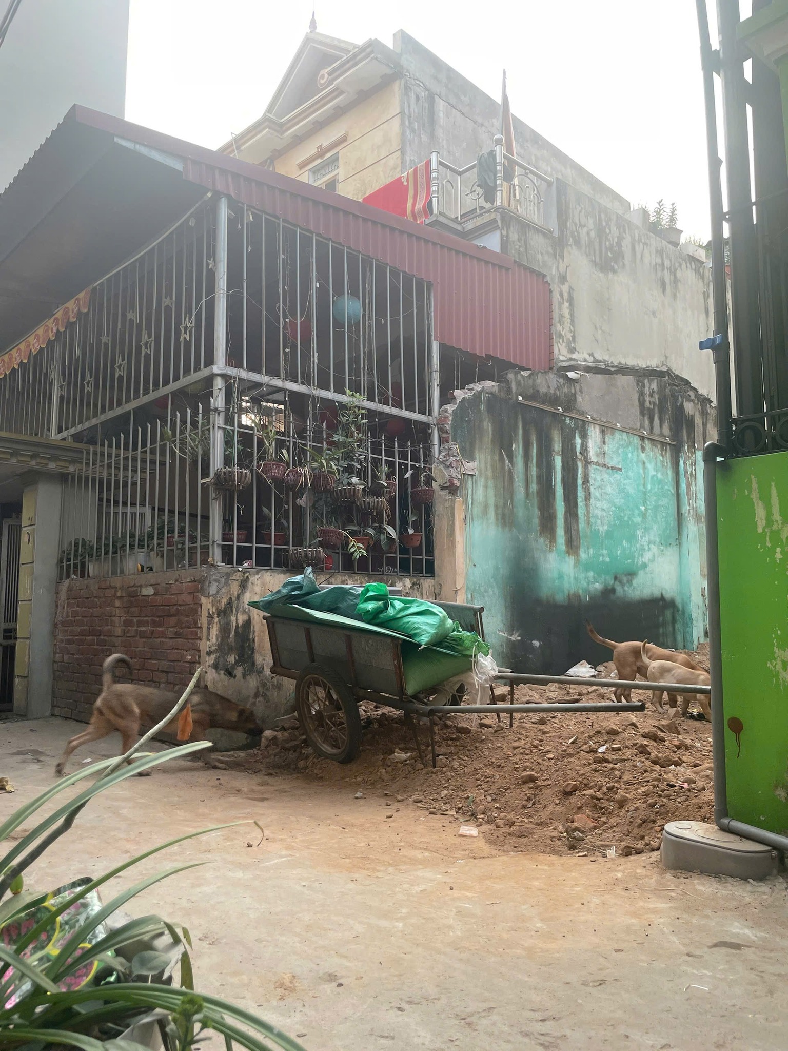 Bán đất Kim Chung 50m2, 3.5m, 3.3 tỷ, Đông Anh, ô tô. - Ảnh 4