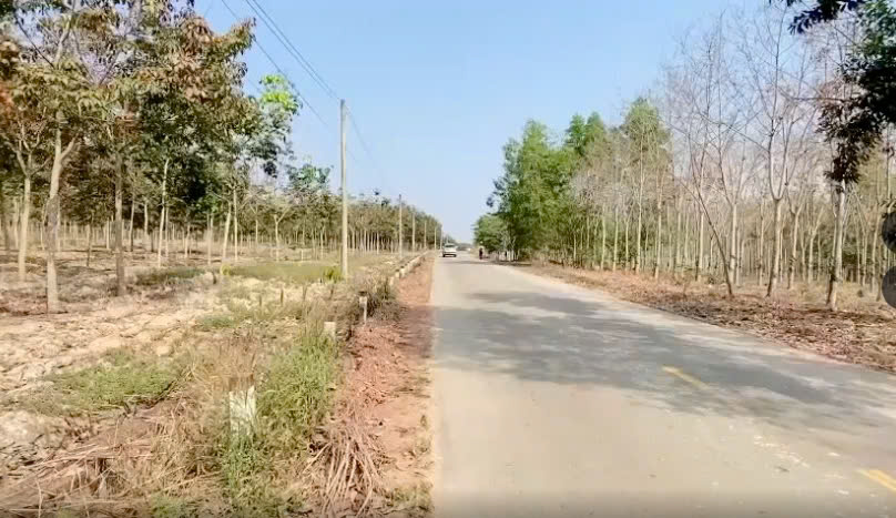 CHÍNH CHỦ ĐỊNH CƯ NƯỚC NGOÀI CẦN BÁN GẤP ĐẤT 2 MẶT TIỀN TẠI TÂN THÀNH 43, TÂN UYÊN, BÌNH DƯƠNG - Ảnh 2