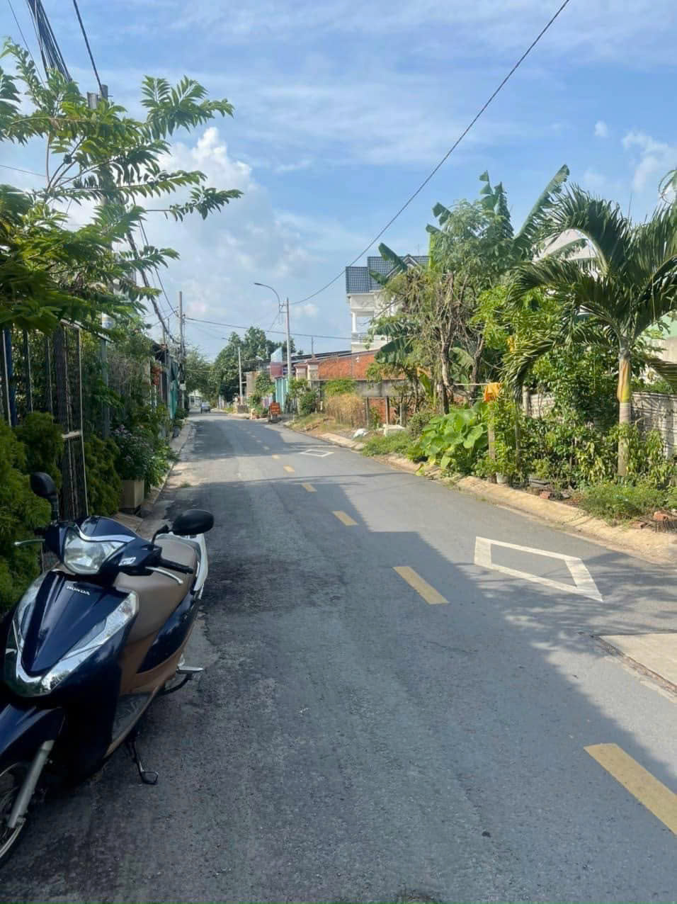 Cần bán Gấp nhà 115m2 Thổ Cư, Đường Hồ Văn Tắng, Xã Tân Phú Trung, Củ Chi giá 550 Triệu có SHR - Ảnh 2