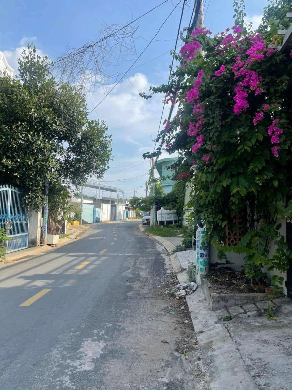 Cần bán Gấp nhà 115m2 Thổ Cư, Đường Hồ Văn Tắng, Xã Tân Phú Trung, Củ Chi giá 550 Triệu có SHR - Ảnh 4