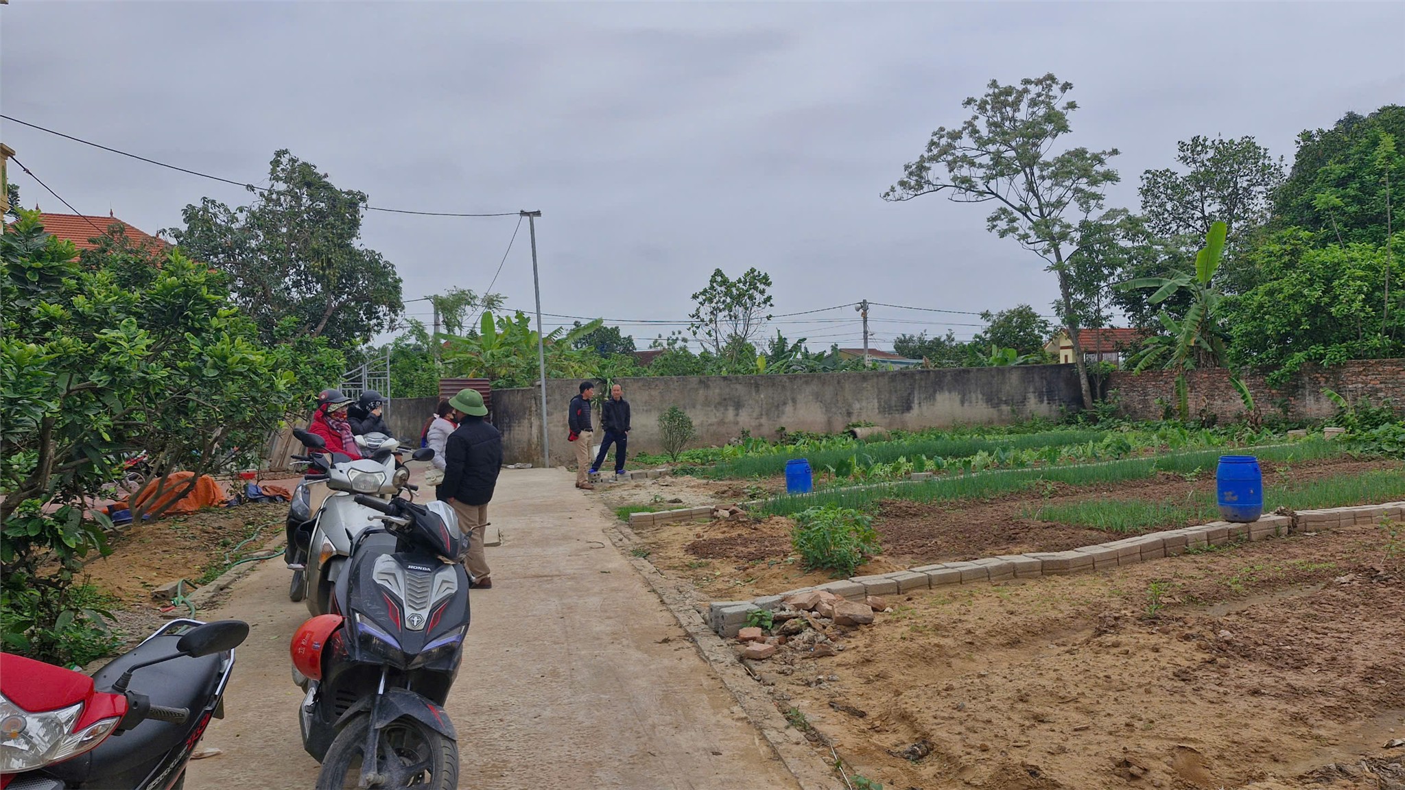 Đất đẹp – giá đầu tư sở hữu ngay lô đất F0 tiềm năng tại huyện Thường Tín, TP Hà Nội - Ảnh 1